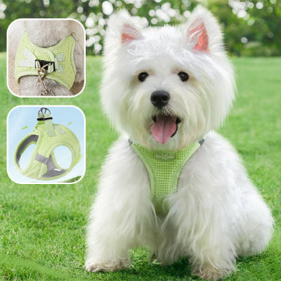 harnais chien securitaire
