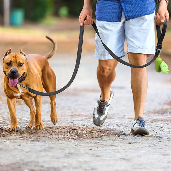 Laisse pour chien contrôle