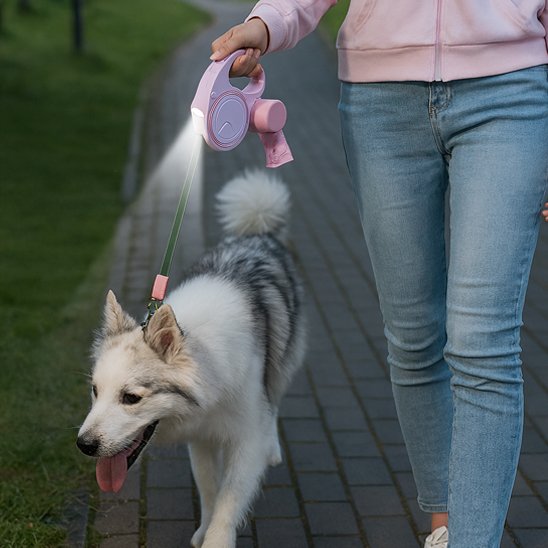 Laisse pour chien lumière intégrée
