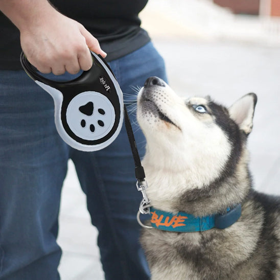 Laisse pour chien | Laisse Pat Pro™