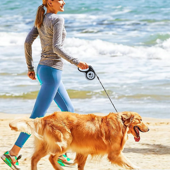 Laisse pour chien | Laisse Pat Pro™