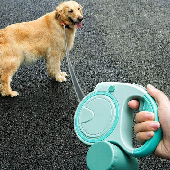 Laisse pour chien retractable avec lumière et sac