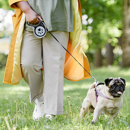 Laisse pour chien | Laisse Pat Pro™