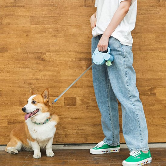 Laisse pour chien tout en un