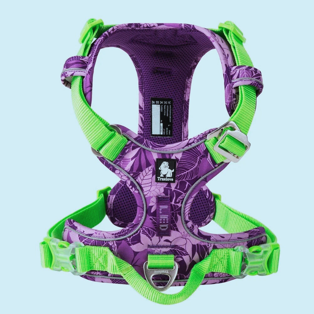 Harnais chien anti traction | PatteMasquée™