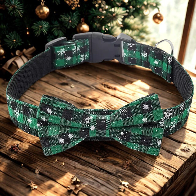 Collier chien | Pap'Atte Parfaite™