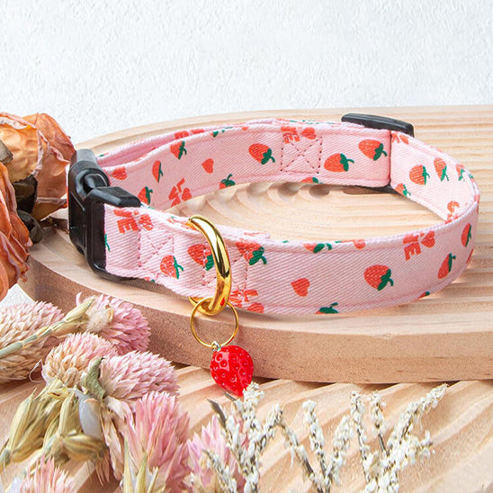 collier chien pratique