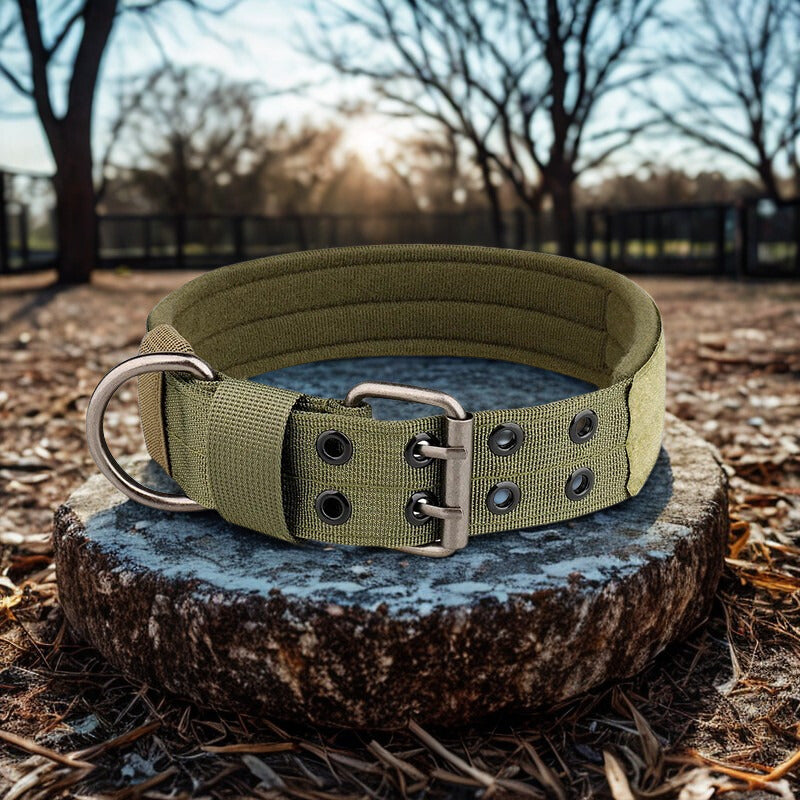 Collier chien | Patte Commando™