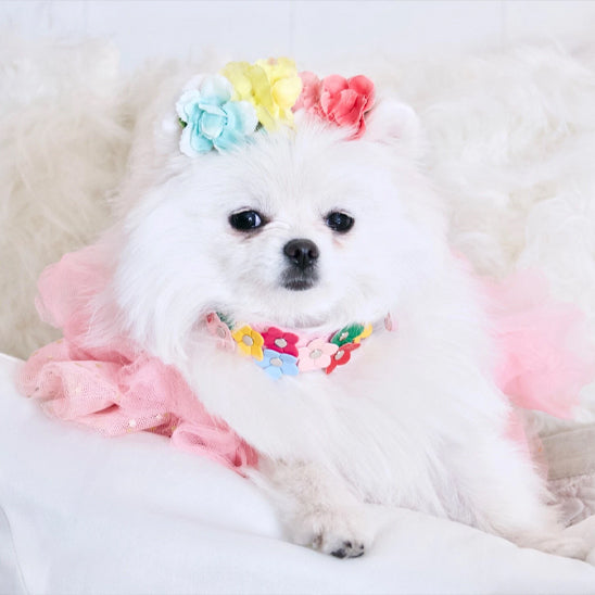 collier pour chien floral