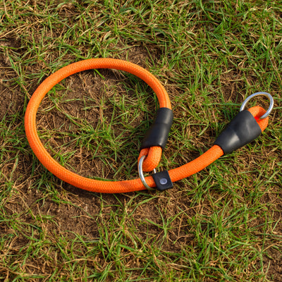 Collier pour chien | PatteSafe™