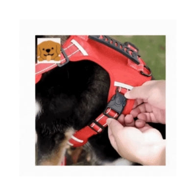 Harnais Anti traction pour chien | Zéro Track Pat™