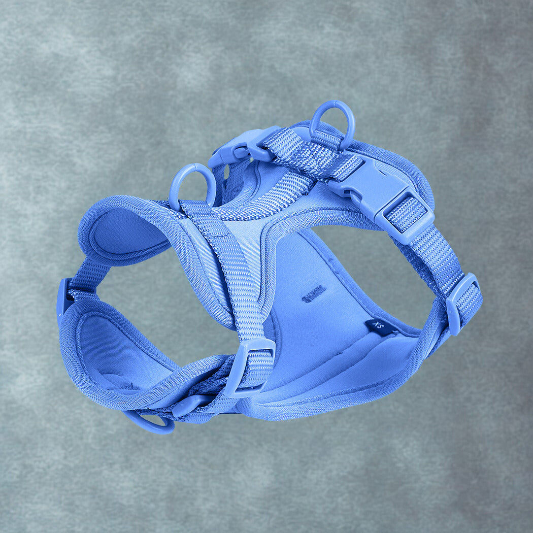 Harnais anti traction pour chien | Le AristoPatte™