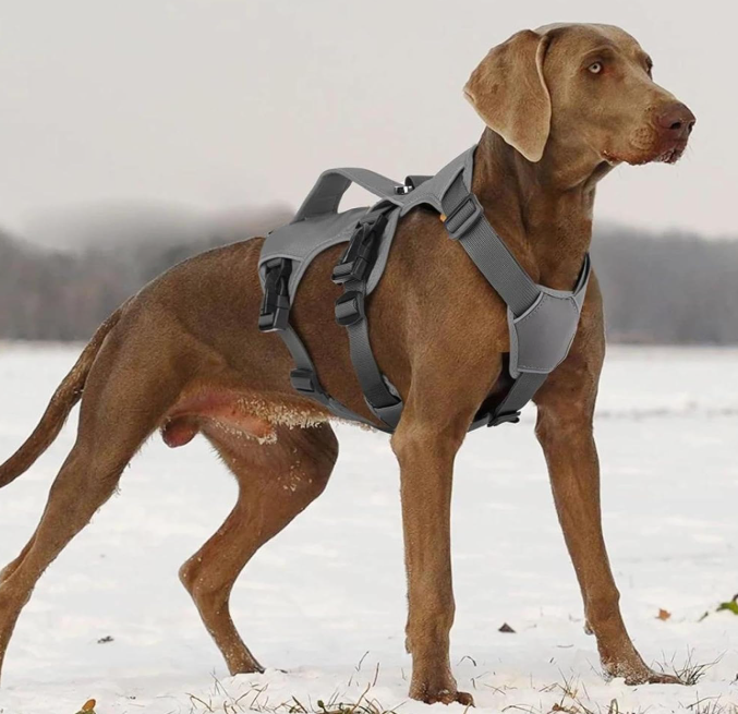 harnais anti traction pour chien durable impermeable