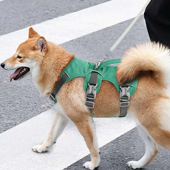 harnais anti traction pour chien reduit tirage