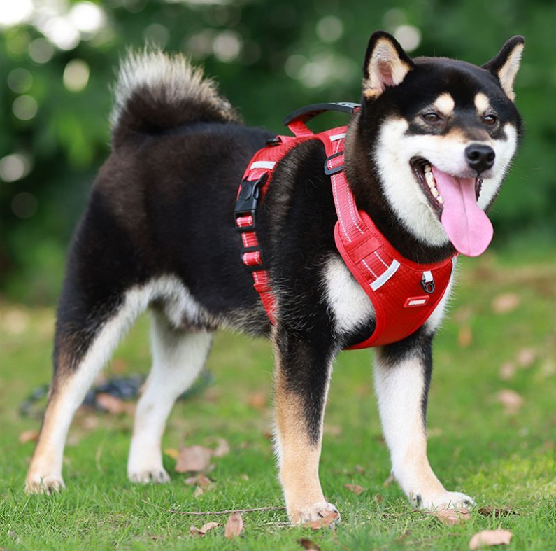 harnais anti traction pour chien reflechissant