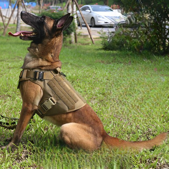 harnais anti traction pour chien tactique