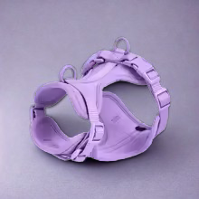 Harnais anti traction pour chien | Le AristoPatte™
