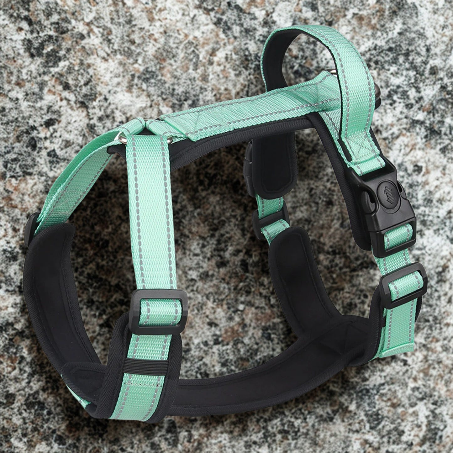 Harnais anti traction | Patteajoie™