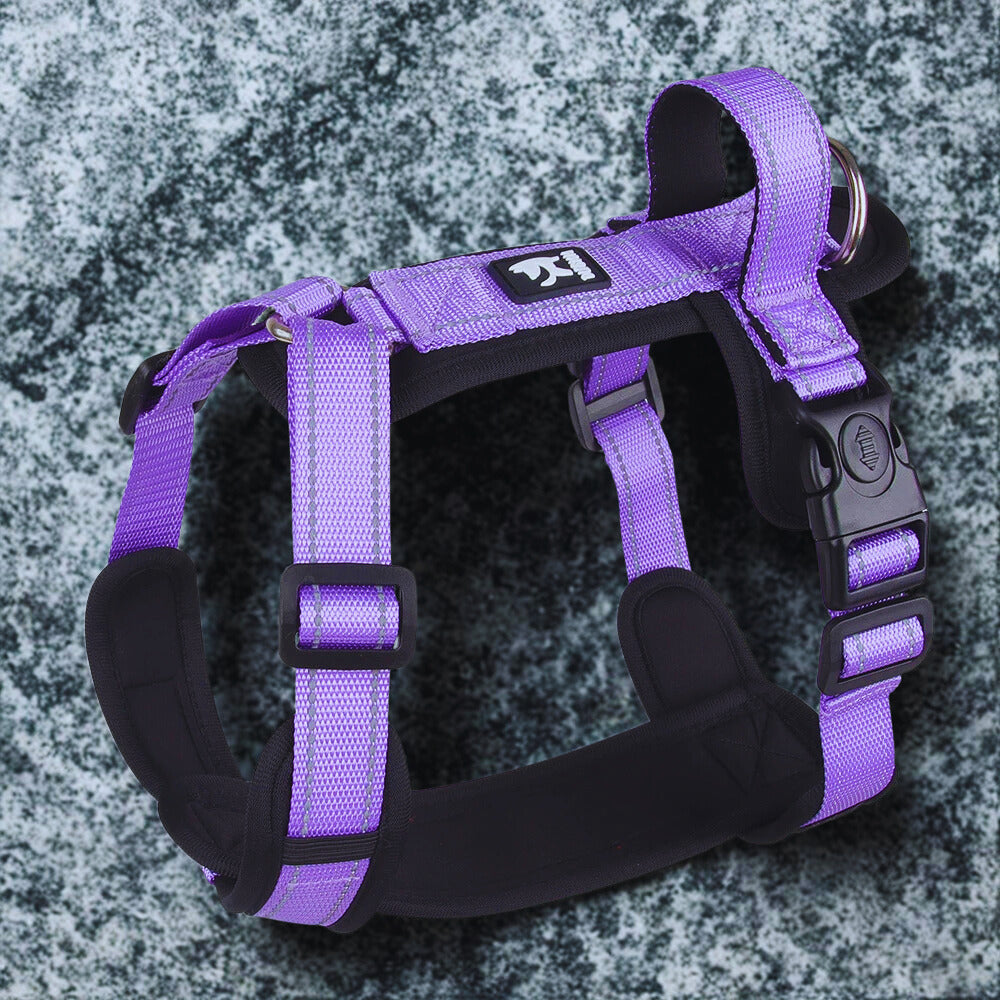 Harnais anti traction | Patteajoie™