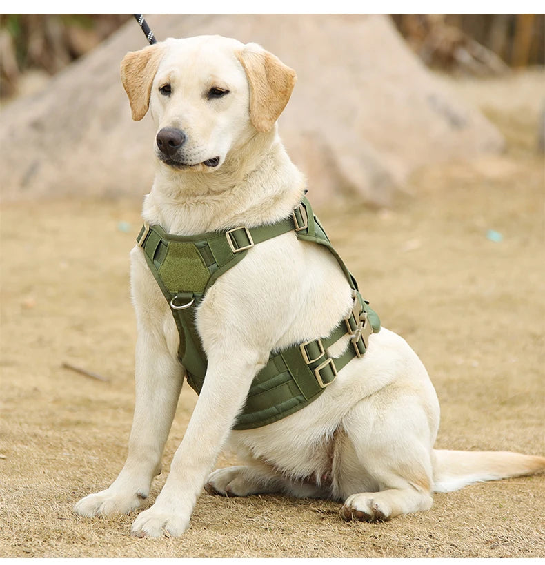 harnais chien anti traction qualité tactique