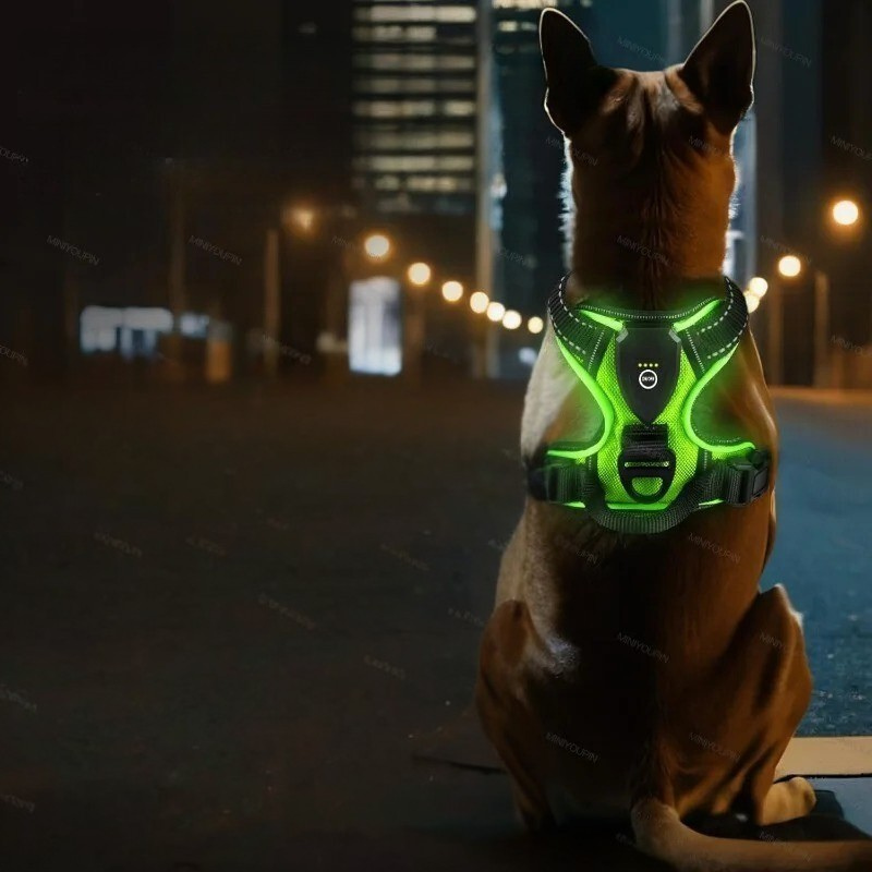 harnais chien anti traction visibilité garantie