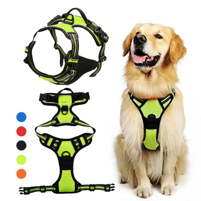 harnais chien chic confortable
