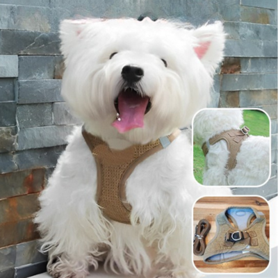 harnais chien ergonomique