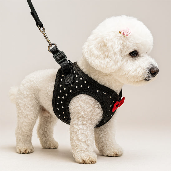 harnais petit chien leger