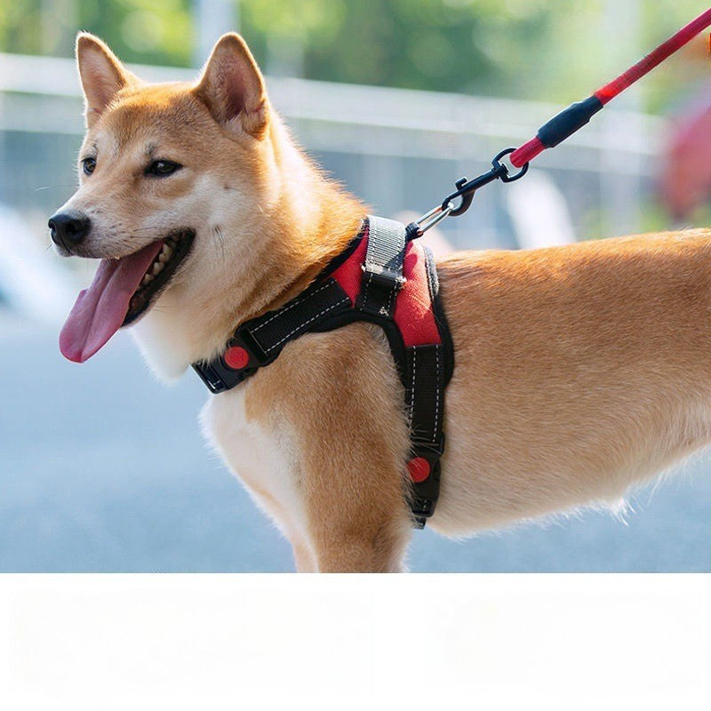 harnais pour chien balade securitaire