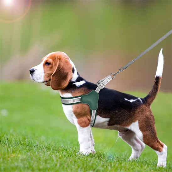 Harnais pour chien | PetitePattesâą