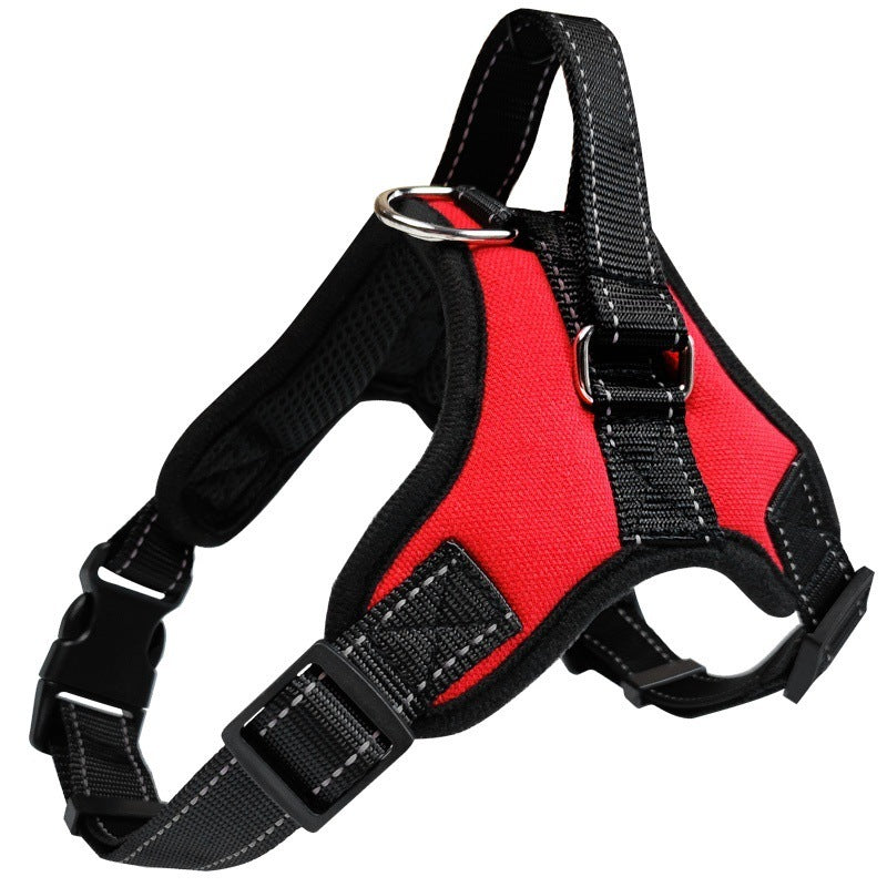 Harnais pour chien | Baladeux™