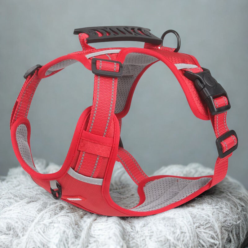 Harnais Anti traction pour chien | Zéro Track Pat™