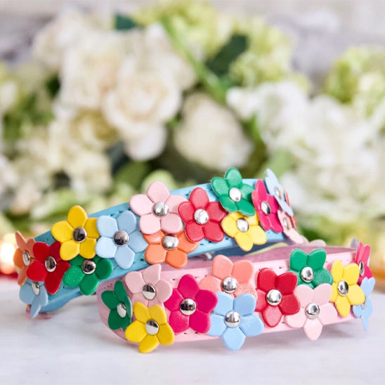 Collier pour chien | Daisy Patte™