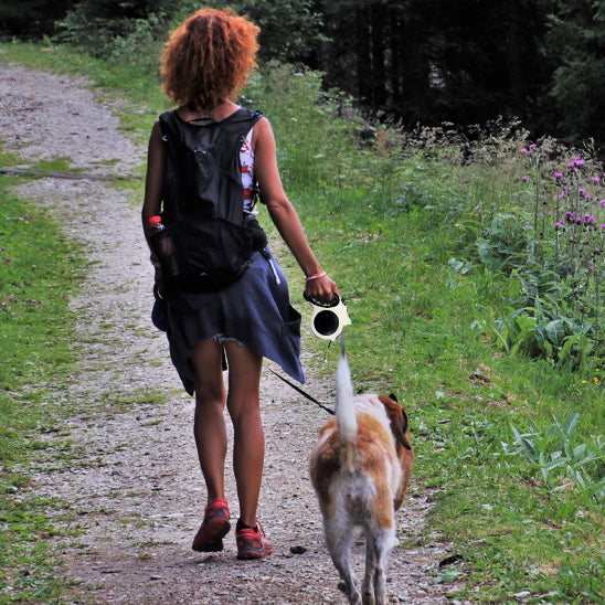 laisse pour chien confortable