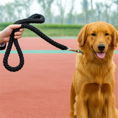 laisse pour chien durable