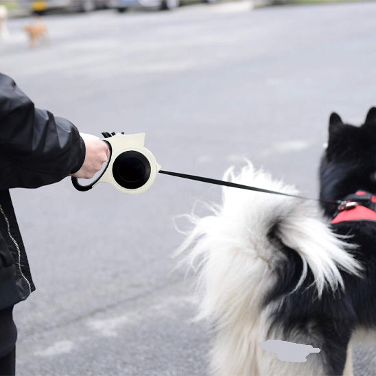 laisse pour chien liberté contrôle