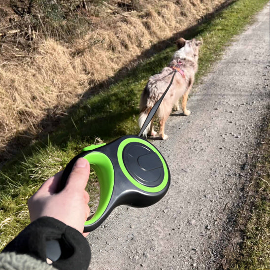 laisse pour chien sans tiraillage