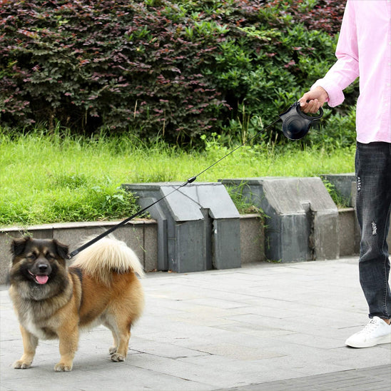 laisse pour chien sécurité liberté
