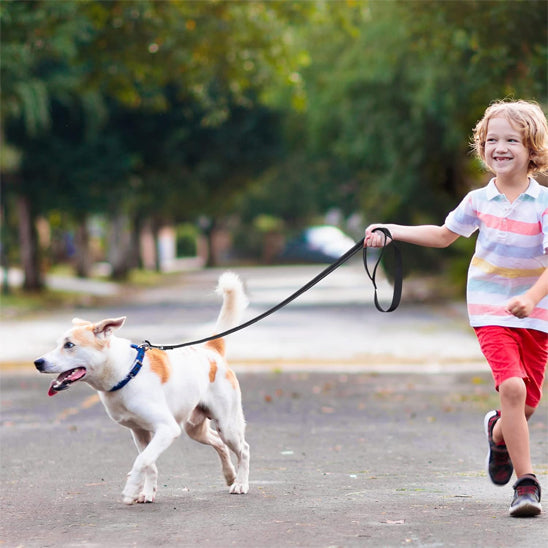 laisse pour chien sortie enfant