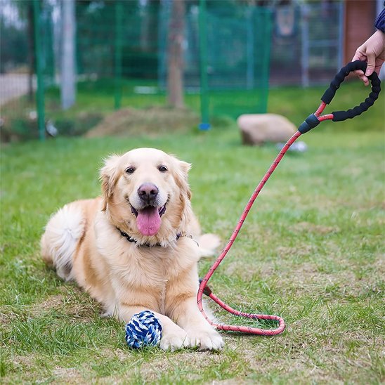 laisse pour chien souple résistante