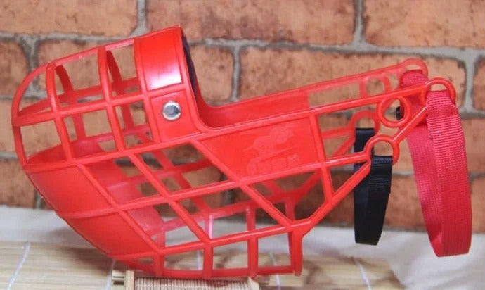 Muselière-Museau Serein | Pattes Museau et Cie™