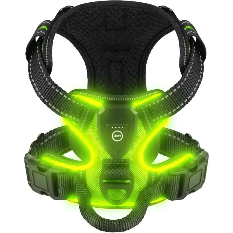 Harnais chien anti traction | LuminouPatte™