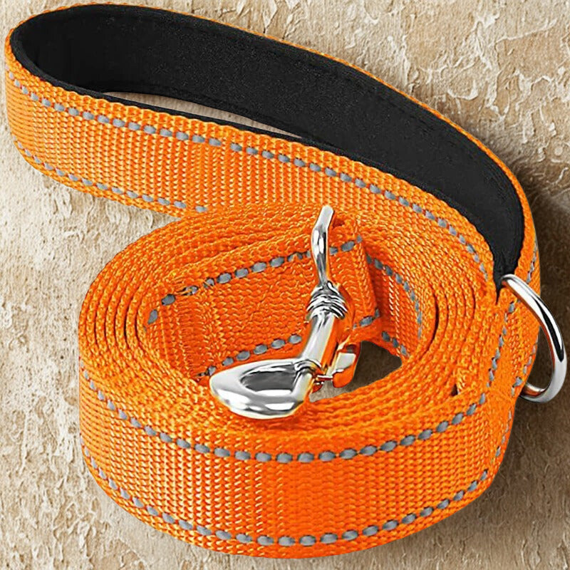 Laisse pour chien | Laisse ma Patte™