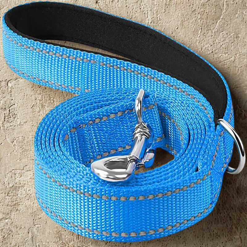 Laisse pour chien | Laisse ma Patte™
