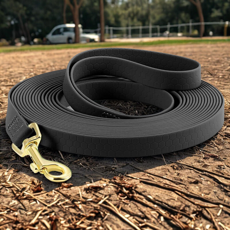 Longe pour chien | Flexy Patte™