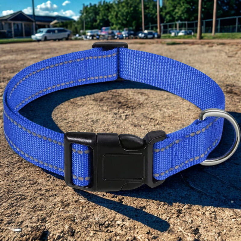 Collier pour chien | ReflexPatte™