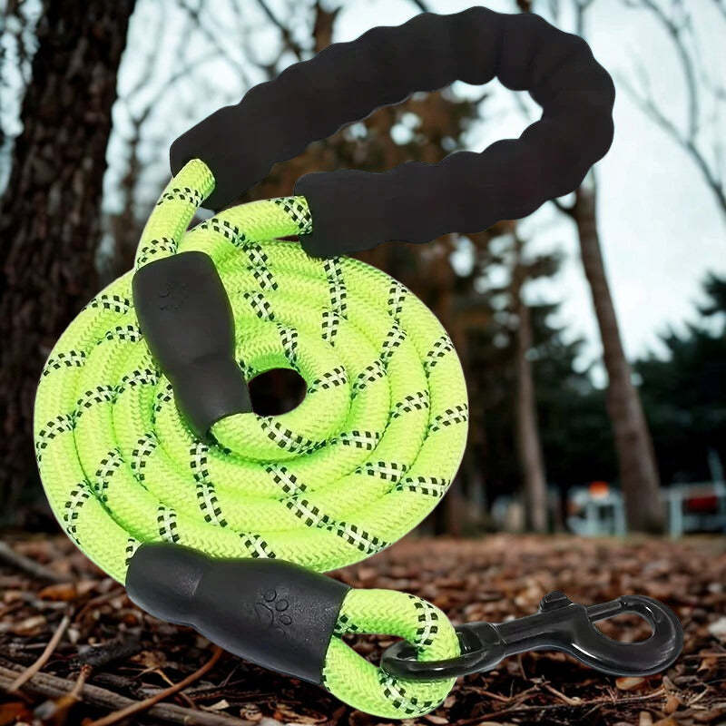 LAISSE POUR CHIEN | PATTE RÉFLEX™