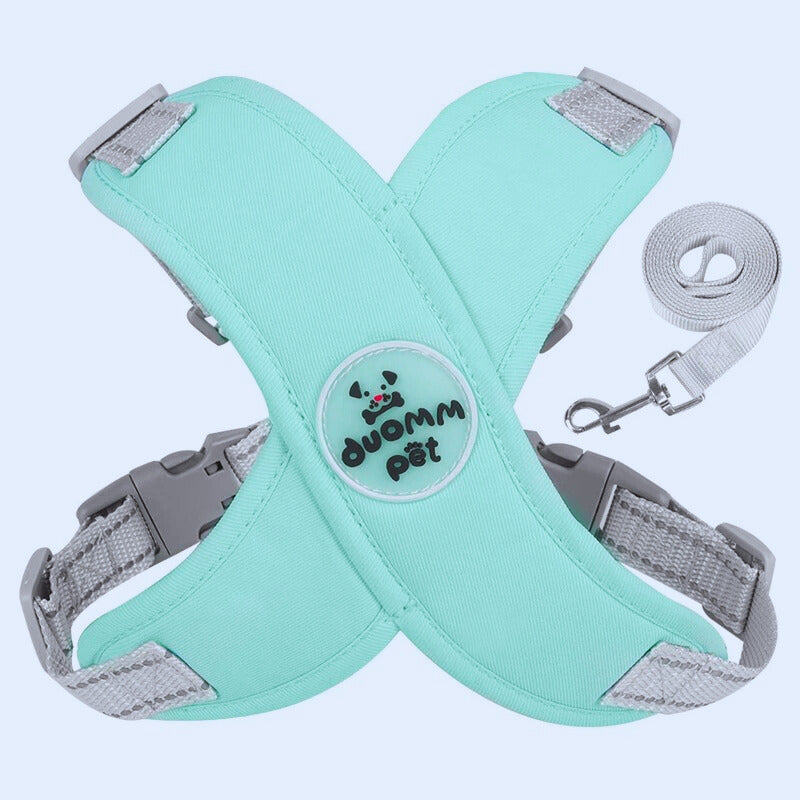 Harnais chien anti traction | PatteFeutrée™
