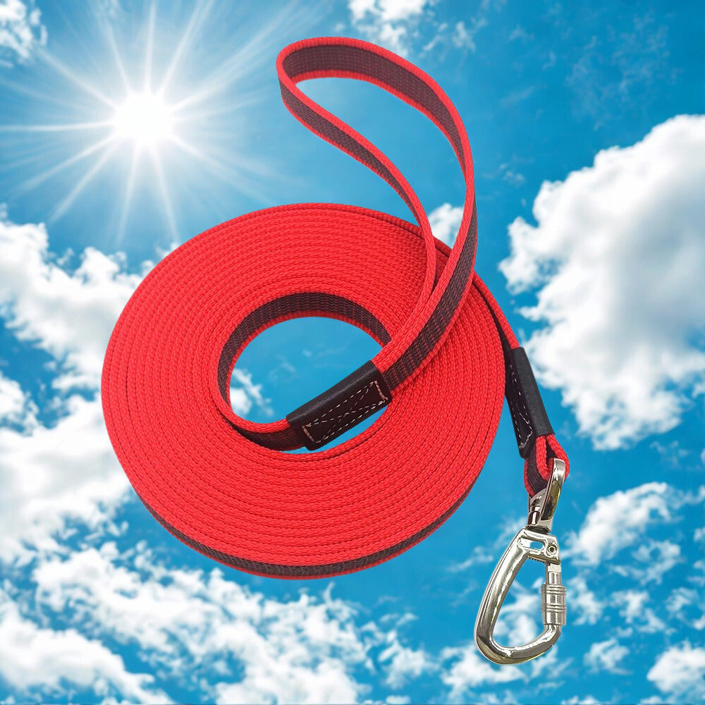 Longe chiens | Pattes Solution 10M™