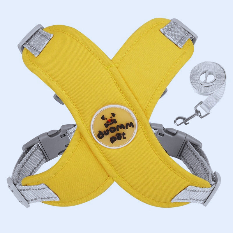 Harnais chien anti traction | PatteFeutrée™